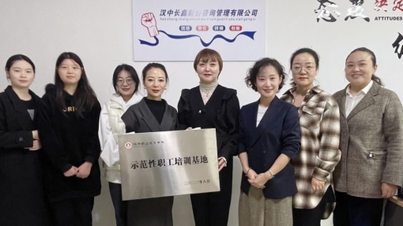 战略咨询实施方案：解码企业转型路径